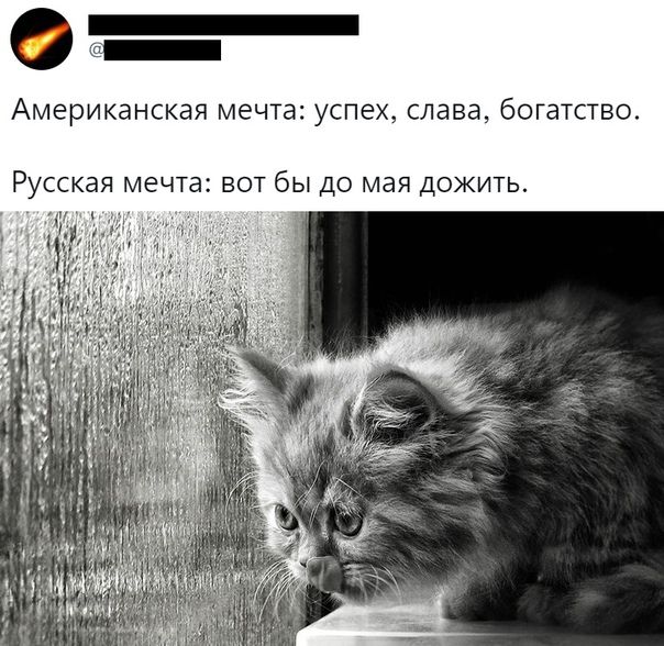 _ Американская мечта УСПЕХ слава богатство