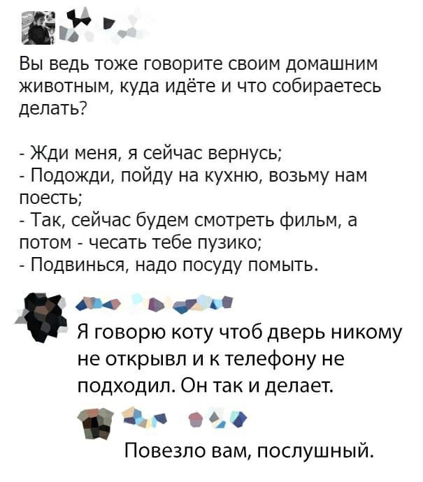агг Вы ведь тоже говорите своим домашним животным куда идёте и что собираетесь делать Жди меня я сейчас вернусь Подожди пойду на кухню возьму нам поесть Так сейчас будем смотреть фильм а потом чесать тебе пузико Подвинься надо посуду помыть ш А Я говорю коту чтоб дверь никому не ОТКРЫВП И К Телефону НЕ подходил Он так и делает За 060 Повезло вам послушный