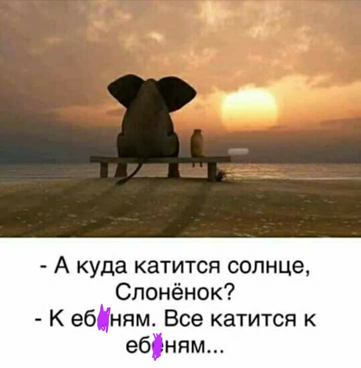 А куда катится солнце Слонёнок К еб ням Все катится к еб ням