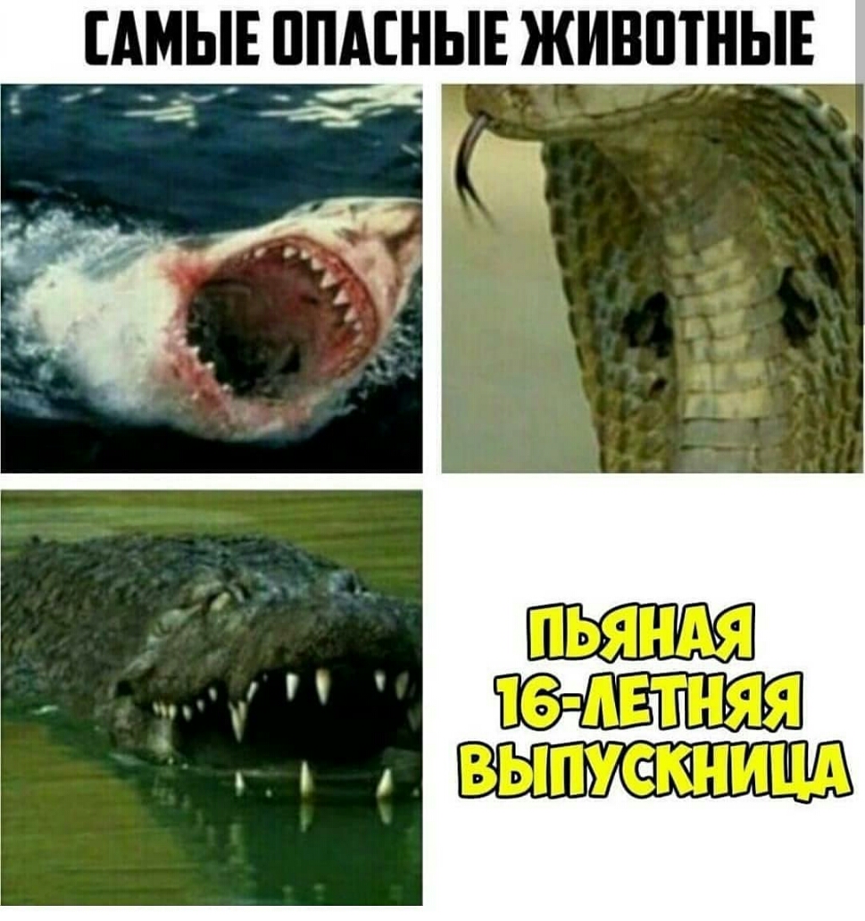 САМЫЕ ППАЕНЫЕ ЖИВШНЫ