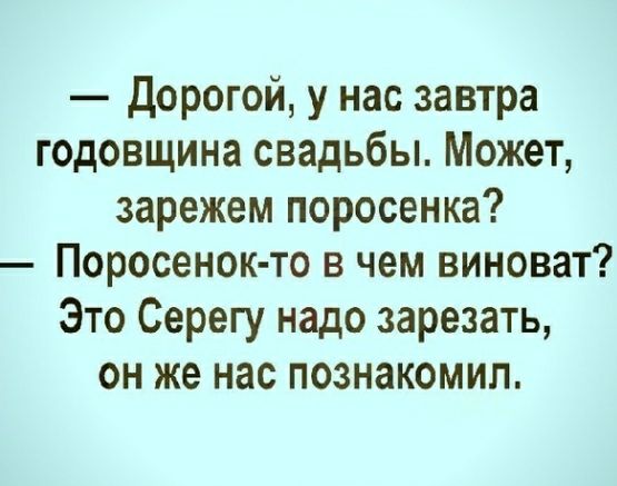 Дорогой у нас завтра годовщина свадьбы Может зарежем поросенка Поросенок то в чем виноват Это Серегу надо зарезать он же нас познакомил