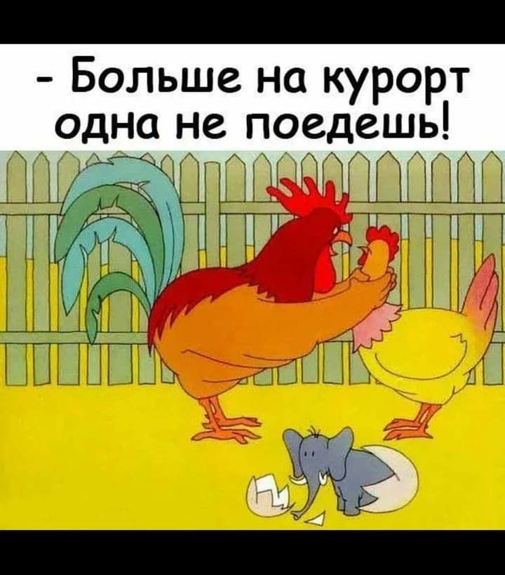 Больше на курорт одна чёаа пх _ 1 т к _ 1 г 3 не поедешь чАГэчз т