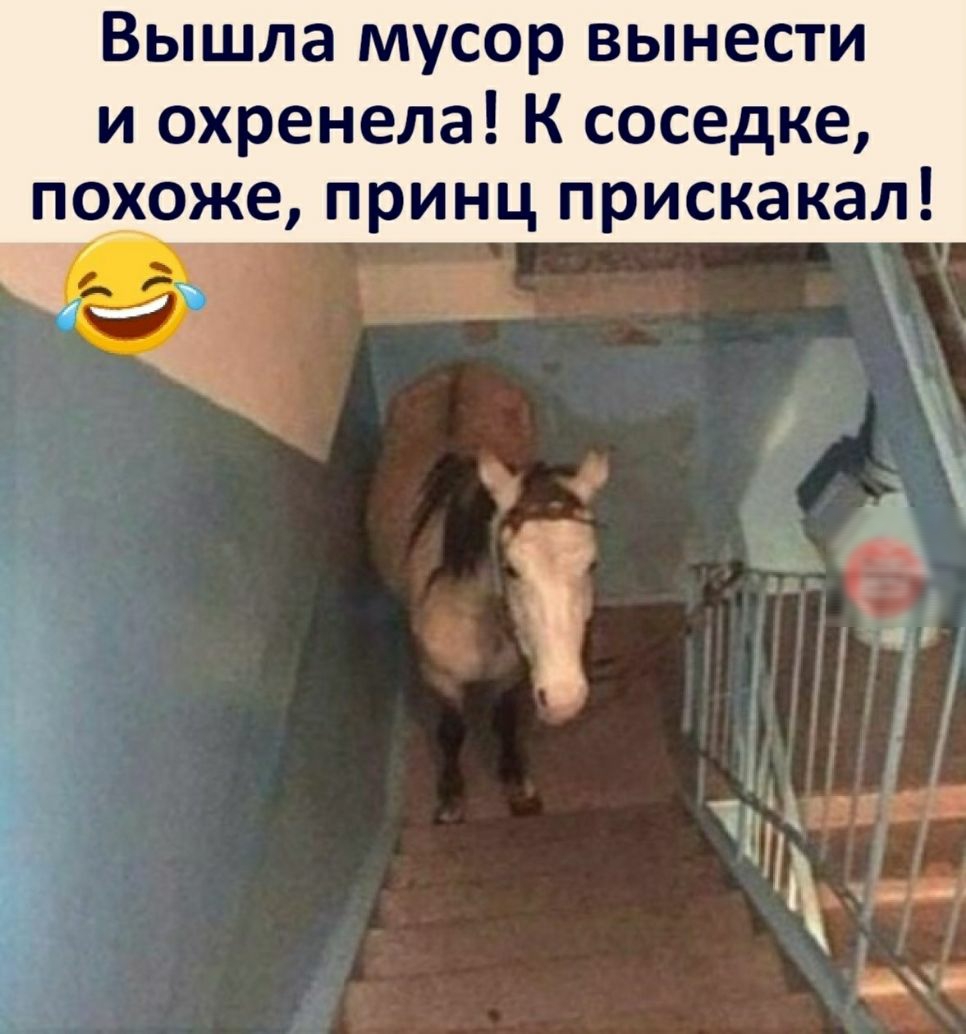 Вышла мусор вынести и охренела К соседке похоже принц прискакал