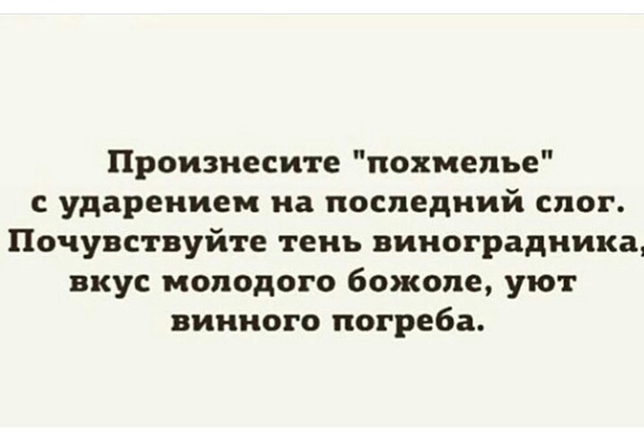 Произнесите похмелье с ударением на последний слог Почувствуйте тень виноградника вкус молодого божопе уют винного погреба