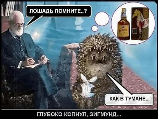 ГПУБОКО КОПНУП ЗИГМУНД