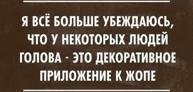 Я ВСЕ БОЛЬШЕ УБЕЖдАЮСЬ ЧТО У НЕКОТОРЫХ ЛЮДЕЙ ГОЛОВА ЭТО дЕКОРАТИВНОЕ ПРИЛОЖЕНИЕ К ЖОПЕ