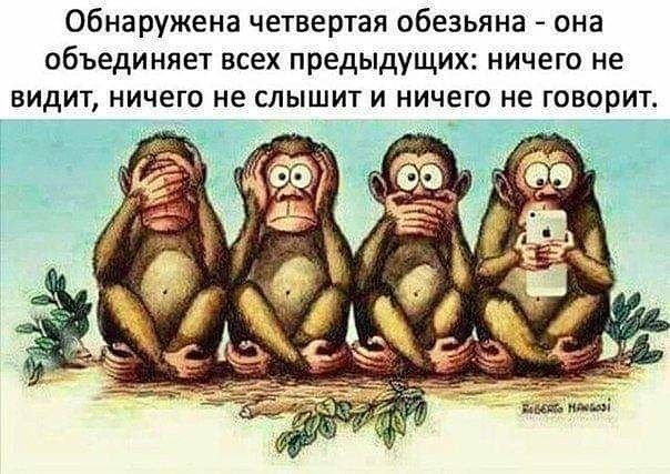 Обнаружена четвертая обезьяна она объединяет всех предыдущих ничего не видит ничего не слышит и ничего не говорит