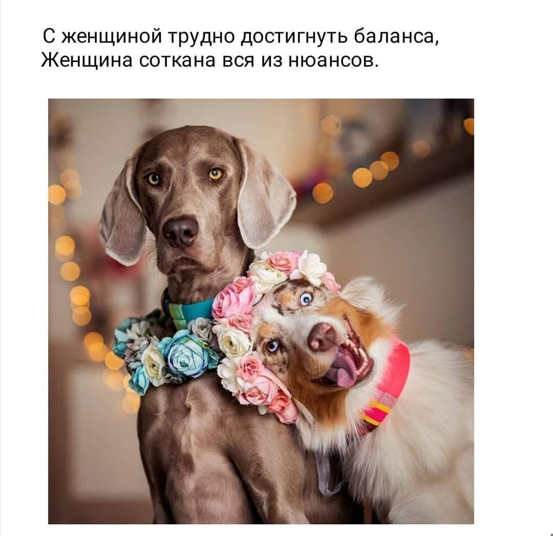 С женщиной трудно достигнуть баланса Женщина соткана вся из нюансов