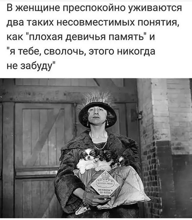 В женщине преспокойно уживаются два таких несовместимых понятия как плохая девичья память и я тебе сволочь этого никогда не забуду