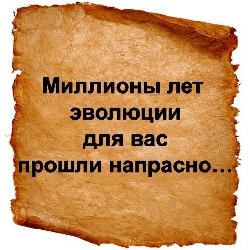 Милй йёны ііет эвол юцинггді прошли напдасно