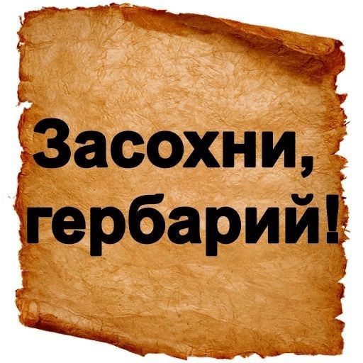 3асохниЁ гербарий
