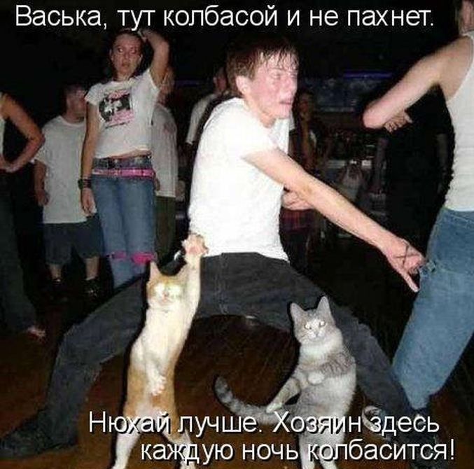 Васька тут колбасой и не пахнет