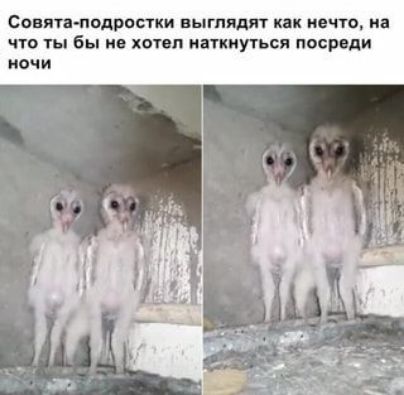сонма подростки выглядят как нечто на что ты бы не хотел иаткиуп ся посиди почи