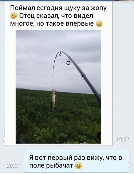 Поймал сегодня щуку за жопу Отец сказал что видел многое но такое впервые Я вот первый раз вижу что в поле рыбачат _