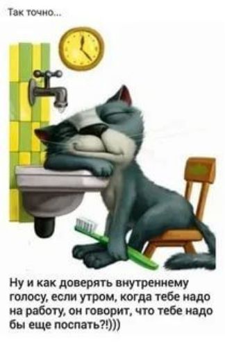 Тм имо Ну и как доверять внутреннему голосу если утром когда тебе надо на работу он гопорт что бе надо бы еще потап