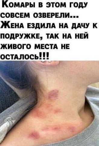 Комдгы в этом году СОВСЕМ озвервли ЖЕНА или А дАЧУ к подружке ТАК нд ней живого МЕСТА НЕ остиюс