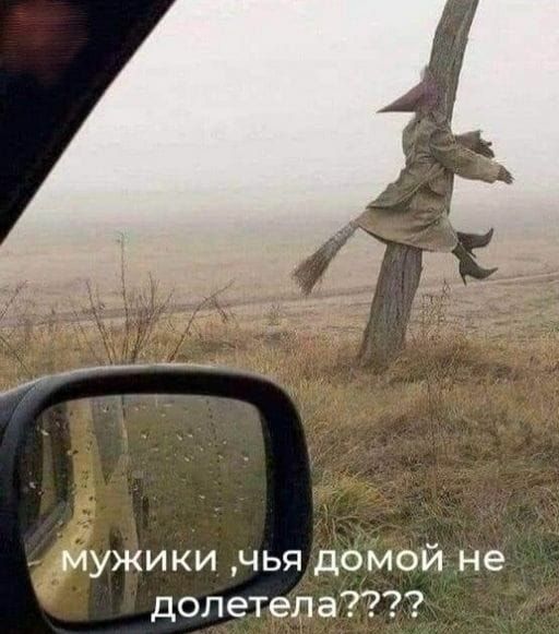 мужики чья домой не долетела