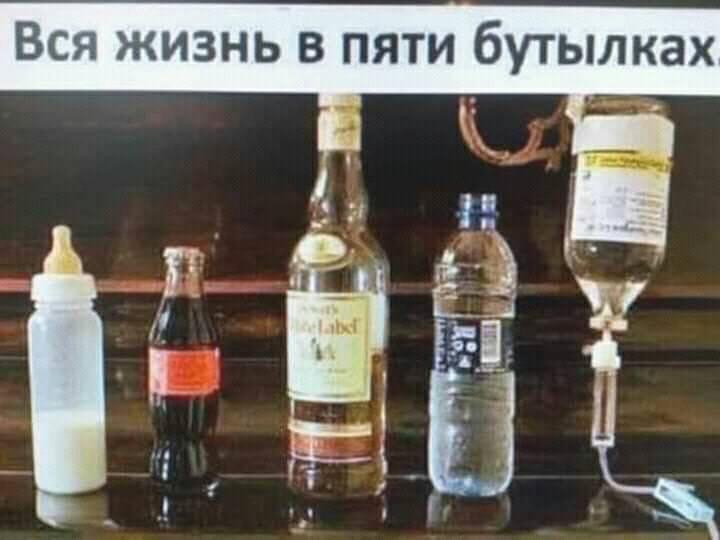 Вся жизнь в пяти бутылках