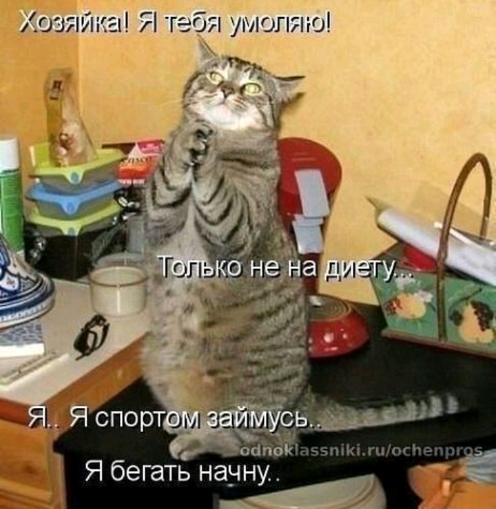 Хозяйка Я тебя утопию