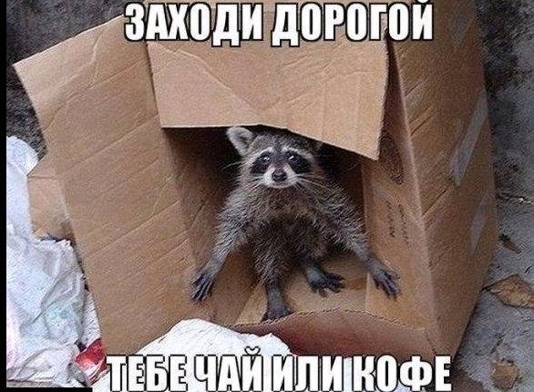 ёзщдттодои