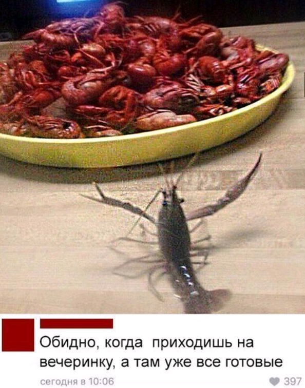 Обидно когда приходишь на вечеринку а там уже все готовые