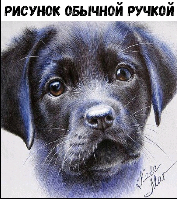 рисунок овычной ручкой