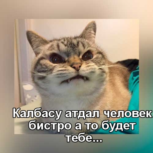 бистрса а тебе