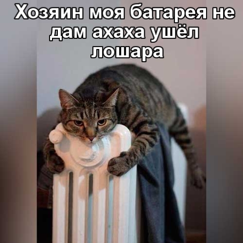 Хозяин батарея ахаха лошара