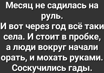 Месяц не садилась на руль И вот через год всё таки села И стоит в пробке а люди вокруг начали орать и мохать руками Соскучились гады