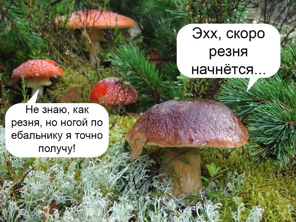 _ __ Эхх скоро резня начнётся Ч Не знаю как резня но ногой по ебапьнику я точно получу