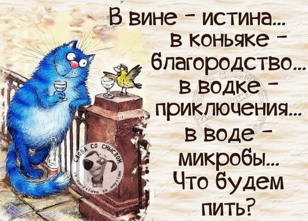 В вине истина в коньяке благородство в водке в воде микробы Что будем пить