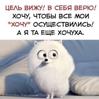 ЦЕАЬ ВИЖУ В СЕБЯ ВЕРЮ ХОЧУ ЧТОБЫ ВСЕ МОИ ХОЧУ ОСУЩЕСТВИАИСЬ А Я ТА ЕЩЕ ХОЧУХА