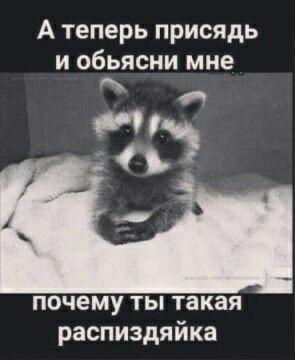 А теперь присядь и объясни мне\nпочему ты такая распиздяйка