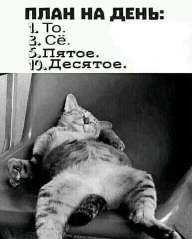ПЛАН НА ДЕНЬ: 1. То. 2. Сё. 5. Пятое. 10. Десятое.
