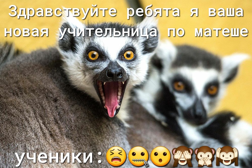 та Я ваша ПО матеше