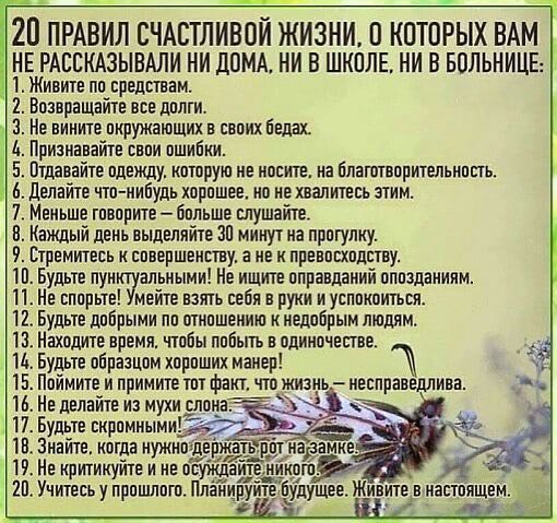ГЕО ПРАВИЛ СЧАСТЛИВОЙ ЖИЗНИ О КОТОРЫХ ВАМ НЕ РАССКАЗЫВАЛИ НИ ДОМА НИ В ШКОЛЕ НИ В БОЛЬНИЦЕ _ 1 Живите пп средствам 2 Вознрашайте все дплти 3 Не аииите пкружающих в свпих Белах Признавайте сипи пшибки 1 5 Птдавайте пдежлу хитрую ие носите иа Ппагптепрительиппь 6 делайте что нибудь хорпшее но не хвалитееь этим 7 Меньше тпвприте бпльше слушайте В Каждый деиь выделяйте ЗП минут на прпгупку Стремитесь 