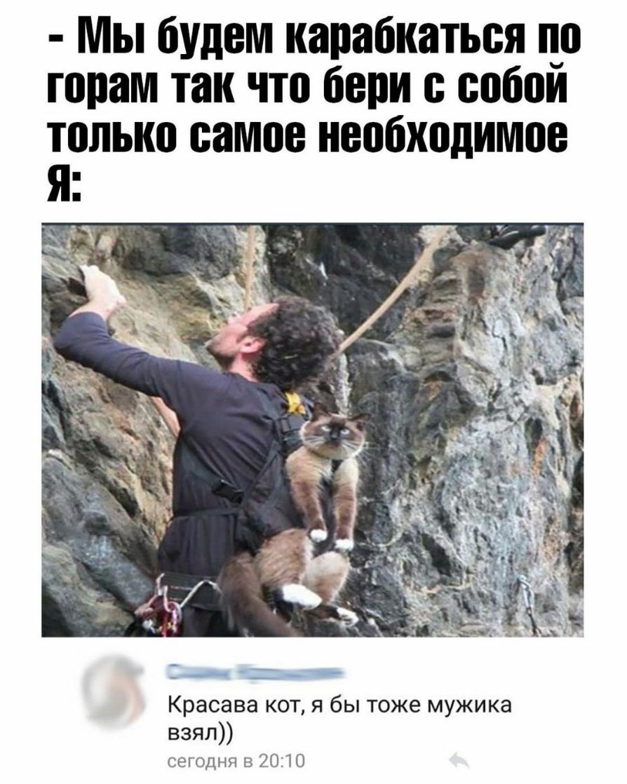 Мы будем карабкаться оо горам так что бери е еобои только самое необходимое я Красава кот я бы тоже мужика взял сегодня В 2070