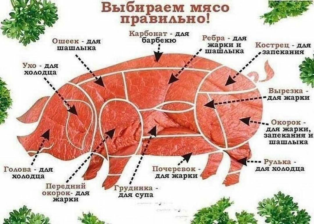 Выбираем мясо правшхьно Карбонат дАя Ошсск ш барбекю Рс513а шашдыка жарки и Кострсц ддя _ шашьыва запекания Ухо дАя комдив Вырезка _____ шжарш Онорок жарки запекания в шашьыка руд дм хододца комдив О Передний дЬ окорок дАя супа _