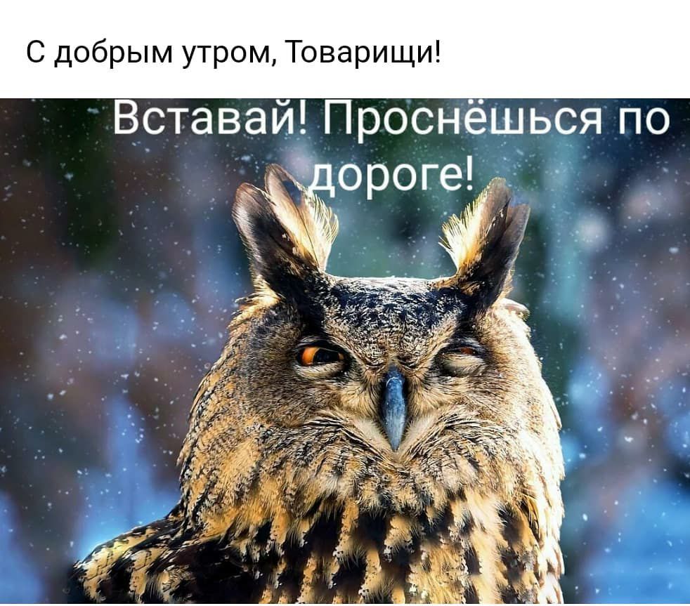 С добрым утром Товарищи Вставай Проснёшьоя по