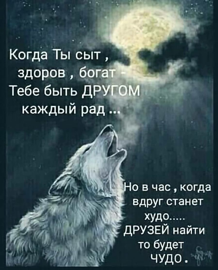 Когда Ты ой здоров бо Ч_ 0 в час когда вдруг станет худо _ ДРУЗЕЙ найти то будет ЧУДО