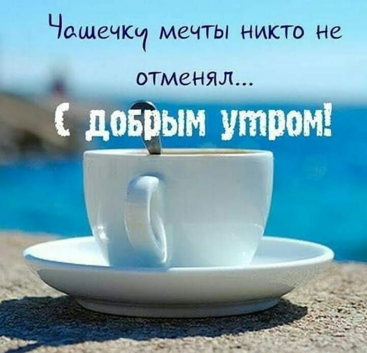 ЧОкЩСЧЮг МСЧТЫ НИКТО НС