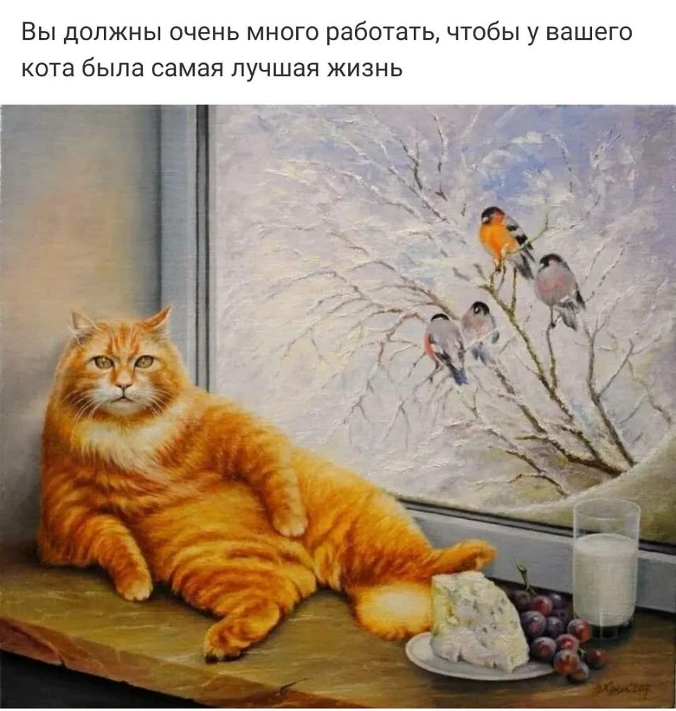 Вы должны очень много работать чтобы у вашего кота была самая лучшая жизнь