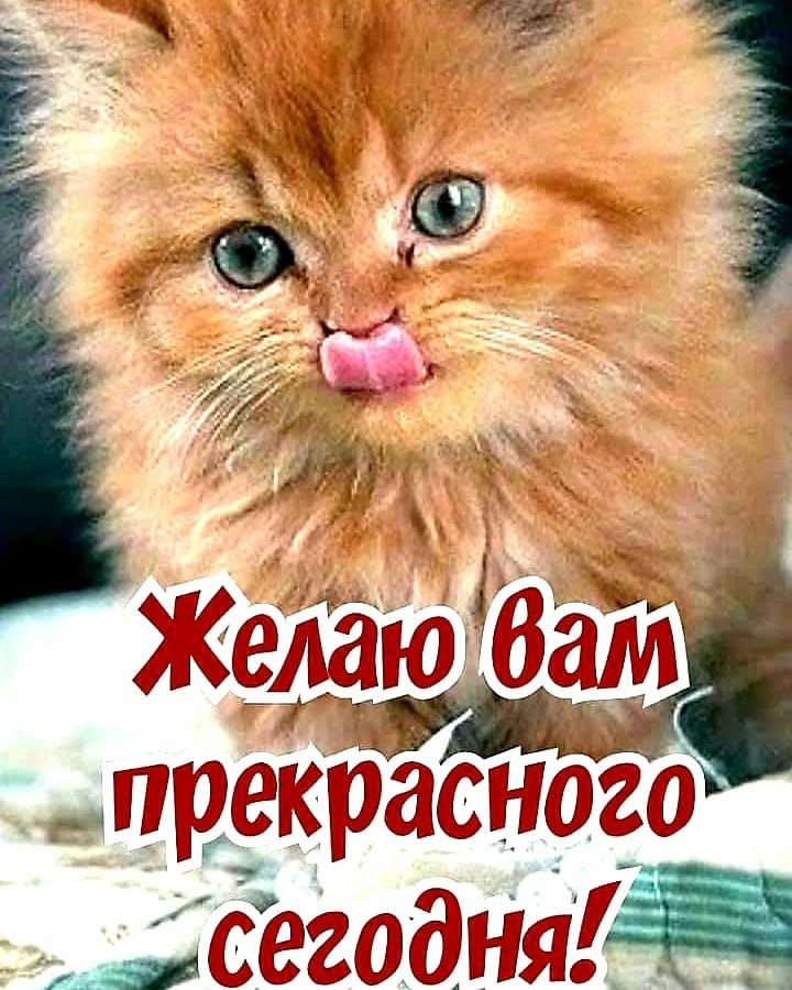 ё ЁЁЁЁЗЁ _