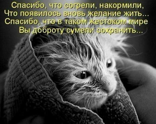гоо