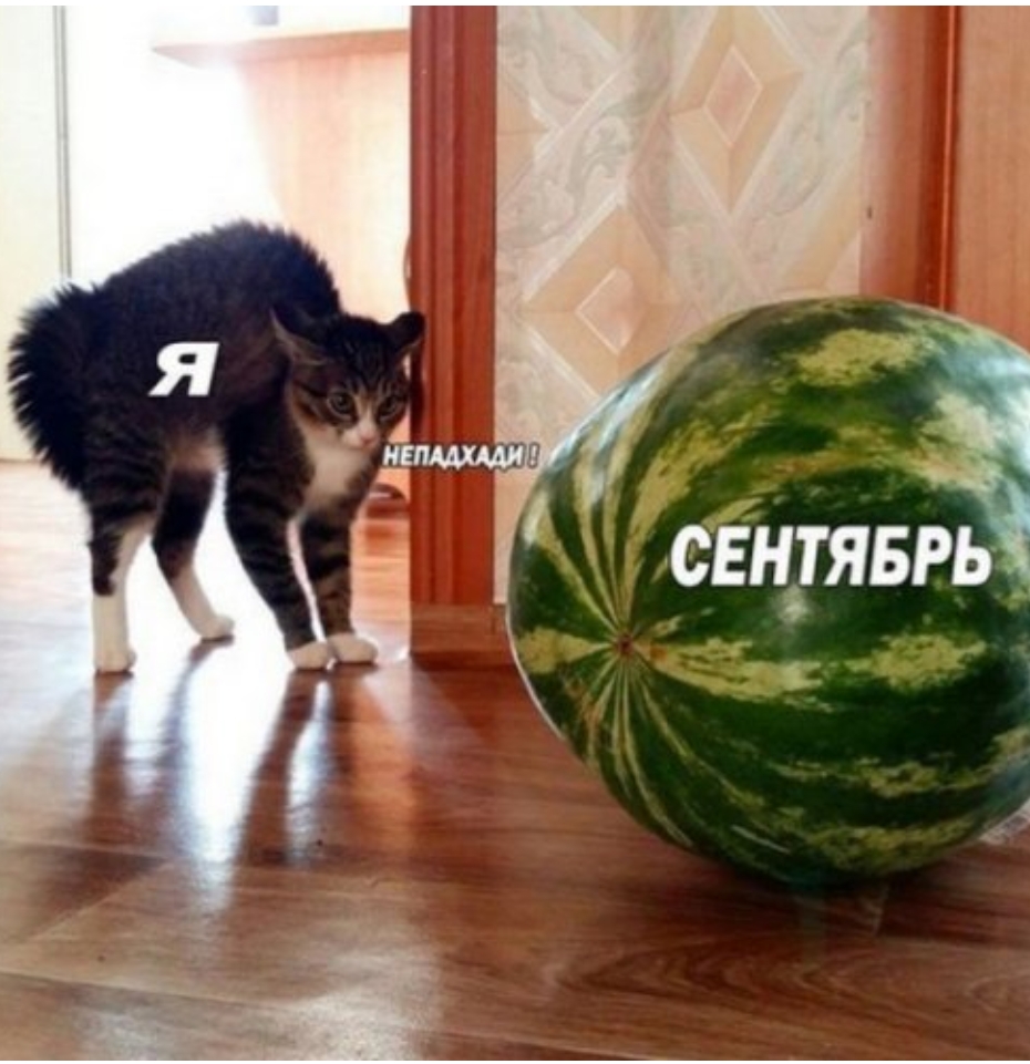 БЕНЗИН
