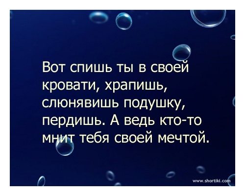Вот спишь ты в своеи кровати храпишь слюнявишь подушку пердишь А ведь кто то мнит тебя своей мечтой у г _
