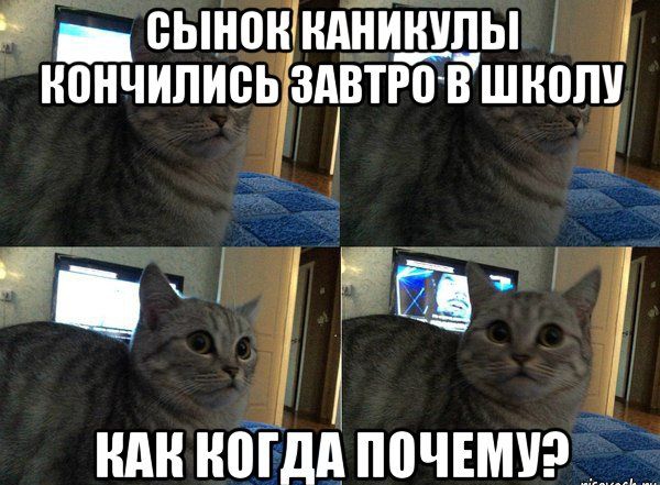 _ еыНонТнднинипы кончились здвтго в школу чгцтм 1 ндн ногдд почвмуэ