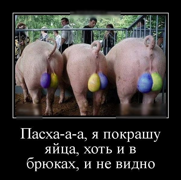 Пасха аа я покрашу яйца хоть И в брюках И не видно