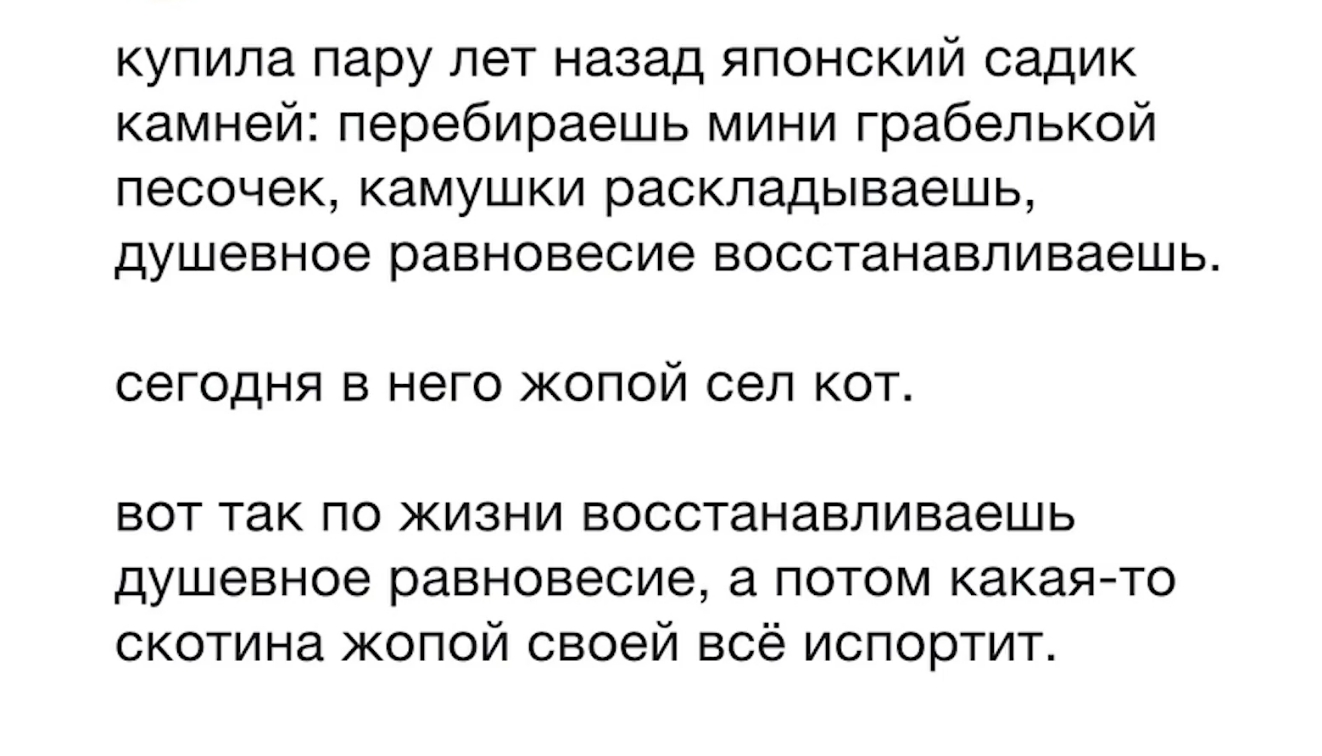 купила пару лет назад японский садик камней перебираешь мини грабелькой песочек камушки раскладываешь душевное равновесие восстанавливаешь сегодня В него ЖОПОЙ сел КОТ ВОТ ТЭК ПО ЖИЗНИ восстанавливаешь душевное равновесие а потом какаято скотина жопой своей всё испортит