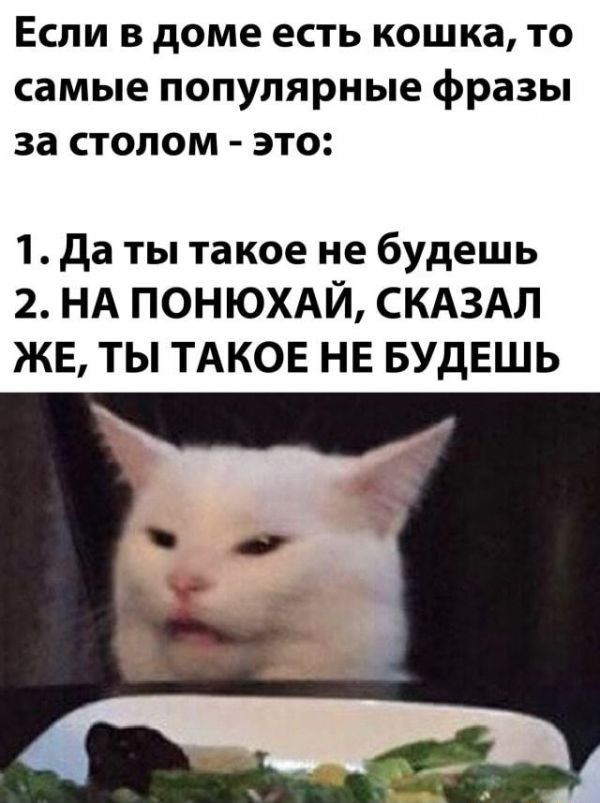 Если в доме есть кошка то самые популярные фразы за столом это 1 да ты такое не будешь 2 НА понюхмйь СКАЗАЛ ЖЕ ТЬ ТАКОЕ НЕ БУДЕШЬ